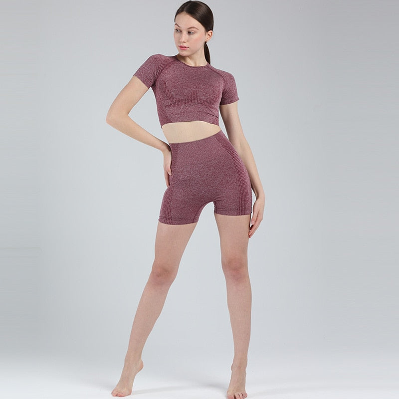 Women Short Sleeve Shirt Yoga Set 2PCS Vital Seamless Sport Suit Gym Clothes Fitness Crop Top Shirt High Waist Shorts Tights | Vimost Shop.