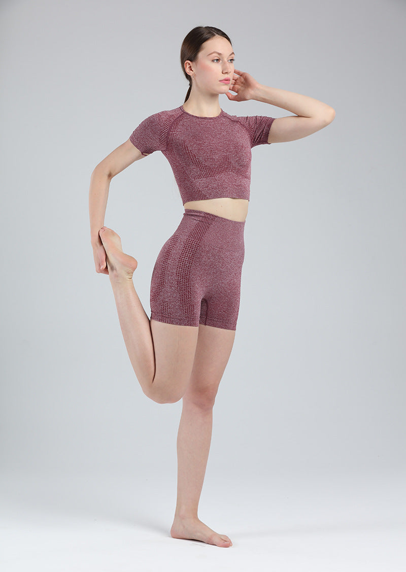 Women Short Sleeve Shirt Yoga Set 2PCS Vital Seamless Sport Suit Gym Clothes Fitness Crop Top Shirt High Waist Shorts Tights | Vimost Shop.