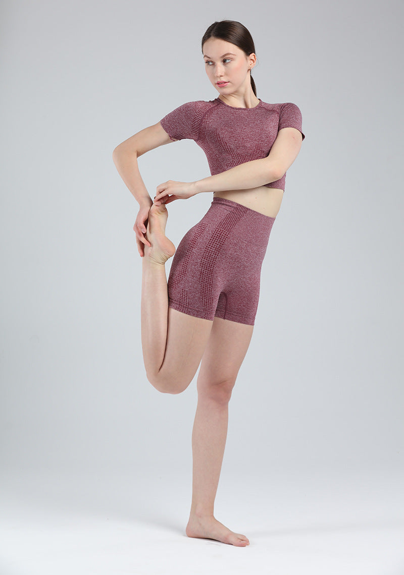 Women Short Sleeve Shirt Yoga Set 2PCS Vital Seamless Sport Suit Gym Clothes Fitness Crop Top Shirt High Waist Shorts Tights | Vimost Shop.