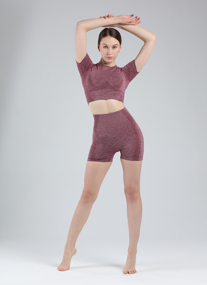 Women Short Sleeve Shirt Yoga Set 2PCS Vital Seamless Sport Suit Gym Clothes Fitness Crop Top Shirt High Waist Shorts Tights | Vimost Shop.