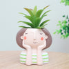 Succulent Plant Pot Cute Animal Flower Planter Flowerpot Create Design Lovely Little Animals Home Garden Bonsai Pots | Vimost Shop.