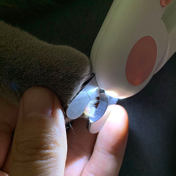 Pet Nail Clipper Dog Cat Cutter Beauty Scissors LED Lighting Puppy Kitten Grooming Claw Nails Cutting Machine Professional Newes | Vimost Shop.