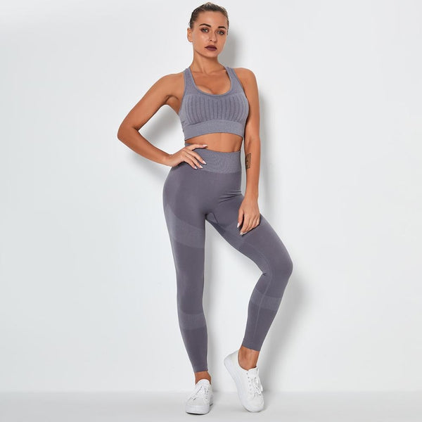 Seamless Yoga Fitness Set Women Sportswear Tank Bra Crop Top Leggings Pants Workout Clothes Gym Clothing 2 Piece Yoga Tracksuit | Vimost Shop.