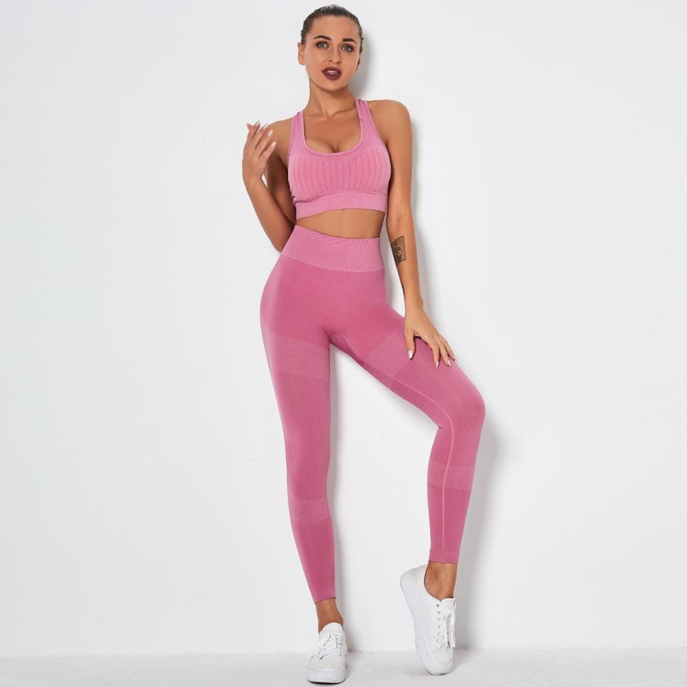 Seamless Yoga Fitness Set Women Sportswear Tank Bra Crop Top Leggings Pants Workout Clothes Gym Clothing 2 Piece Yoga Tracksuit | Vimost Shop.