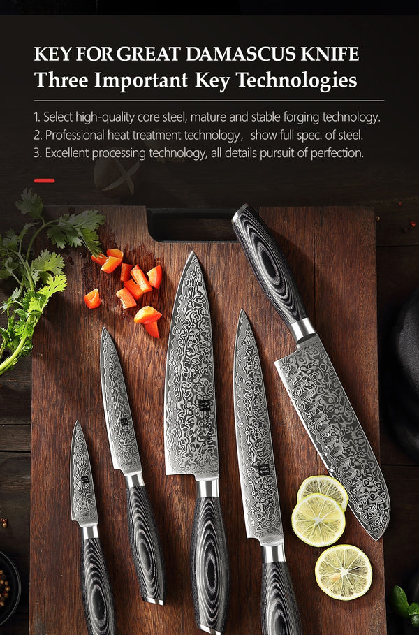 5 PCS Kitchen Knives Set 67 Layers VG 10 Japan Damascus Steel Chef Cleaver Santoku Utility Paring Knife Pakkawood Handle | Vimost Shop.