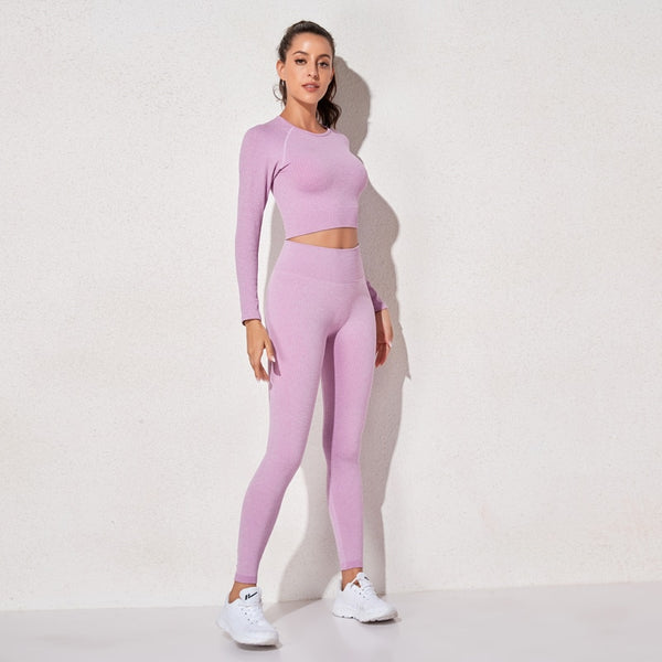 Women's Sportswear Yoga Sets Ribbed Seamless Long Sleeve Workout Clothes for Women High Waist Sports Legging Long Sleeve Top