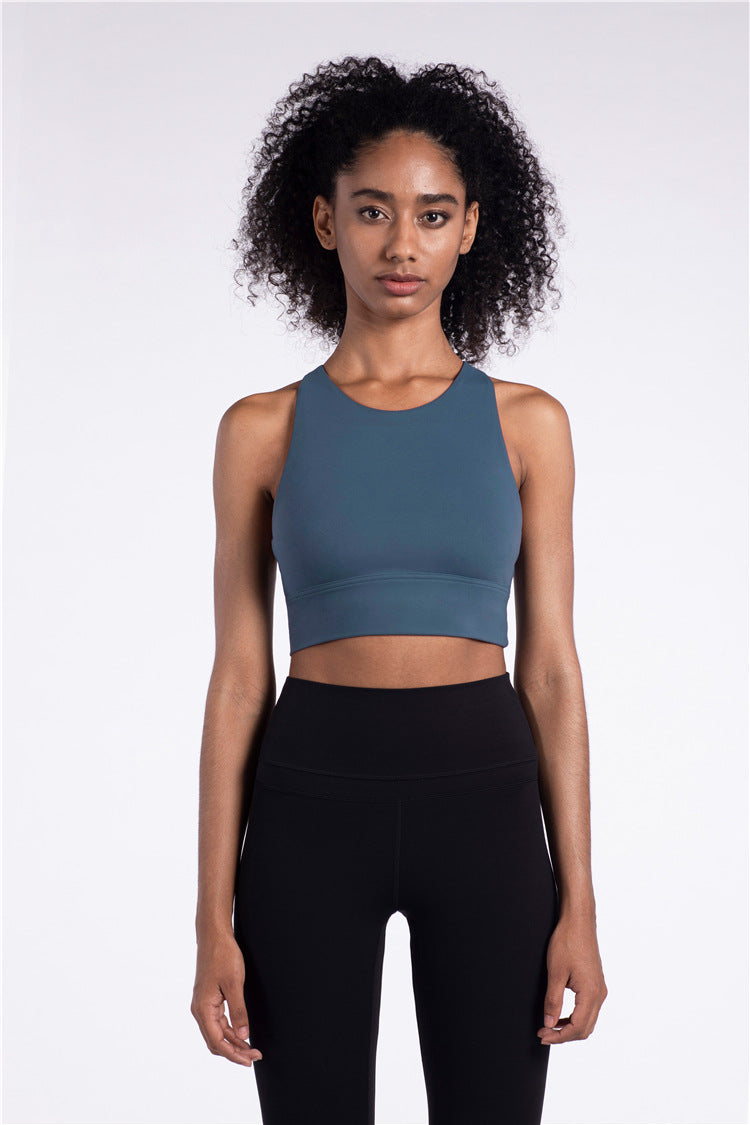 Seamless Women Gym Yoga Bra Top Sports Padded High Impact High Elastic Vest Tank Top Push Up Underwear Bra Fitness Workout Vest | Vimost Shop.