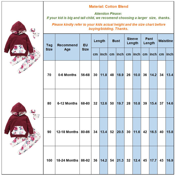 3Pcs Winter Infant Girls Clothing Floral Printed Hooded Sweatshirts And Pants Headband Outfits Casual Newborn Clothing D30 | Vimost Shop.