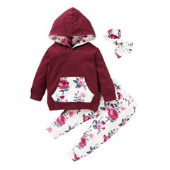 3Pcs Winter Infant Girls Clothing Floral Printed Hooded Sweatshirts And Pants Headband Outfits Casual Newborn Clothing D30 | Vimost Shop.