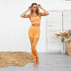 Seamless Yoga Fitness Hollow Out Set Camisole Crop Top High Waist Pants Sportswear Tracksuit Running Sports Gym Workout Clothes | Vimost Shop.