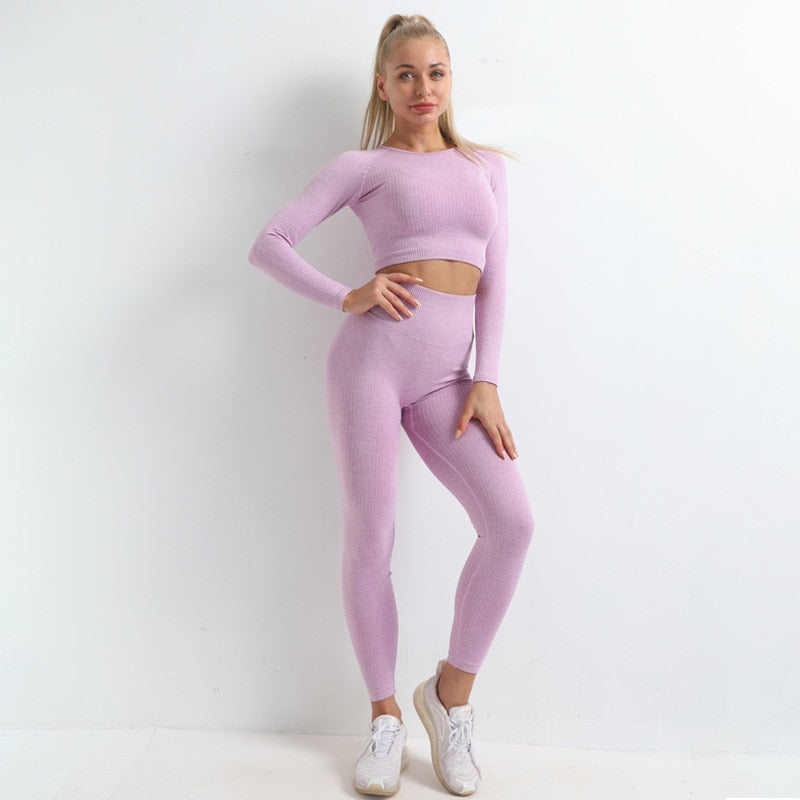 Autumn Seamless Yoga Set High Stretch Tracksuit For Women Long Sleeve Crop Top Leggings Two Piece Set Running Push Up Clothing | Vimost Shop.