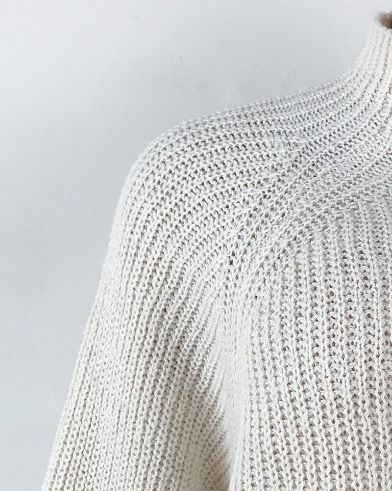 Turtleneck Long Sleeve Sweater Dress Women Autumn Winter Loose Tunic Knitted Casual Pink Gray Clothes Solid Dresses | Vimost Shop.