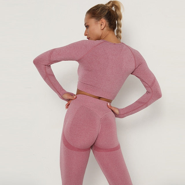 2pcs Yoga Set Women Long Sleeve Shirts Active Tracksuit Sport Suits Workout Clothes Gym Fitness Crop Top + Push Up Leggings | Vimost Shop.