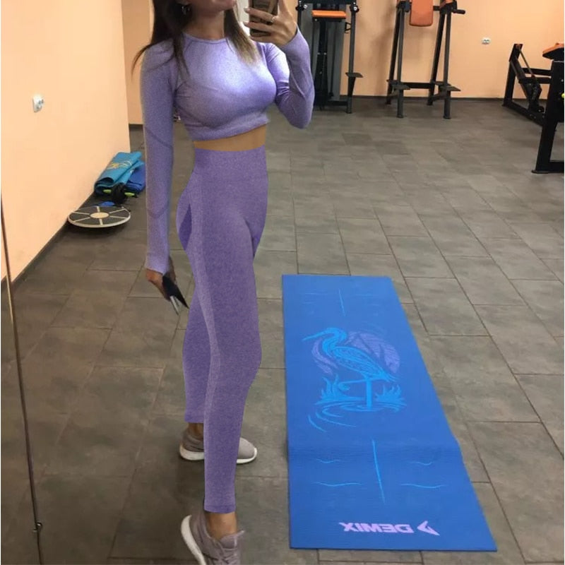 2pcs Yoga Set Women Long Sleeve Shirts Active Tracksuit Sport Suits Workout Clothes Gym Fitness Crop Top + Push Up Leggings | Vimost Shop.