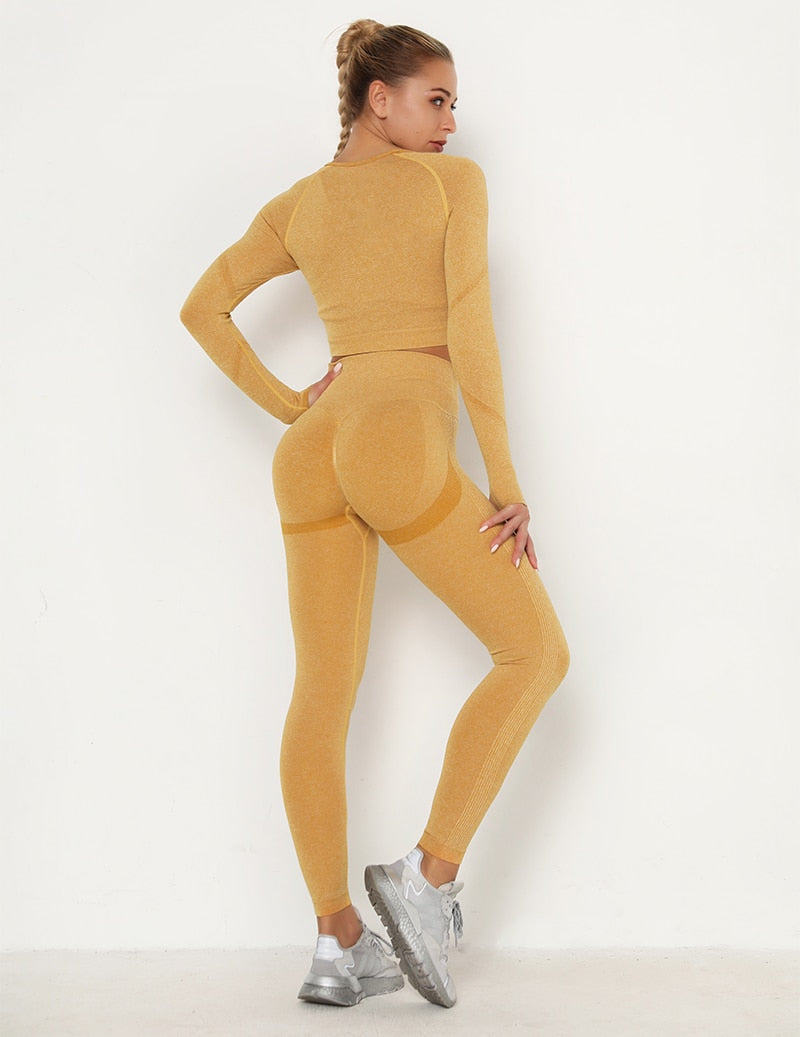 2pcs Yoga Set Women Long Sleeve Shirts Active Tracksuit Sport Suits Workout Clothes Gym Fitness Crop Top + Push Up Leggings | Vimost Shop.