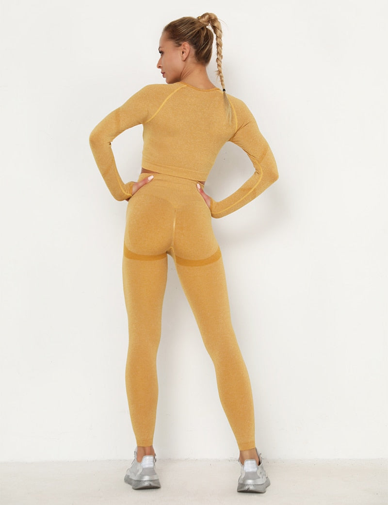 2pcs Yoga Set Women Long Sleeve Shirts Active Tracksuit Sport Suits Workout Clothes Gym Fitness Crop Top + Push Up Leggings | Vimost Shop.