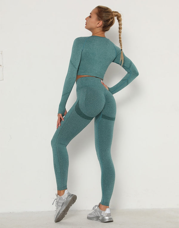 2pcs Yoga Set Women Long Sleeve Shirts Active Tracksuit Sport Suits Workout Clothes Gym Fitness Crop Top + Push Up Leggings | Vimost Shop.