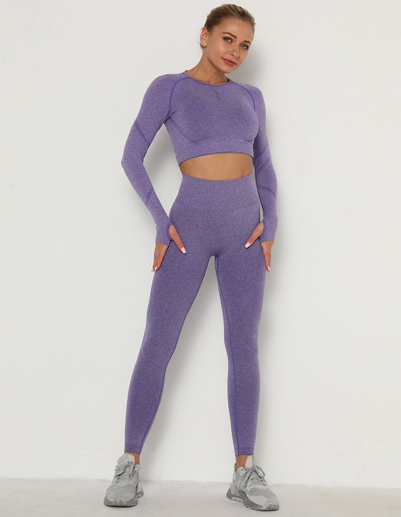 2pcs Yoga Set Women Long Sleeve Shirts Active Tracksuit Sport Suits Workout Clothes Gym Fitness Crop Top + Push Up Leggings | Vimost Shop.