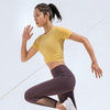 Seamless Yoga Gym Leggings Sports High Elastics Hip Lifting Sheer Mesh Pants Workout Push Up Gym Running Casual Female Outfits | Vimost Shop.