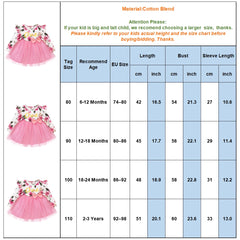 Ruffle Lace Floral Baby Girls Tutu Dress Fall Cotton Long Sleeve Cute Girls Kids mini Dresses Casual O neck Toddler Clothing D30 | Vimost Shop.