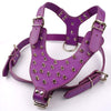 Purple Spiked Studded Leather Dog Harness Collar and Leash Set For Meduim Large Breeds Pitbull