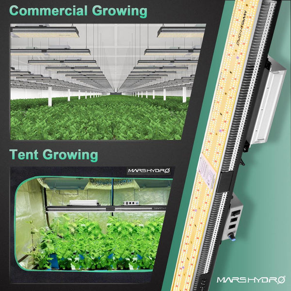 SP 3000 6500 Samsung LM301B LED Grow Light Full Spectrum Best for Plant Veg Flower | Vimost Shop.