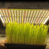 FC 6500 Samsung LM301B Full Spectrum LED Grow Lights Strip Grow Tent Hydroponics Veg and Flower | Vimost Shop.