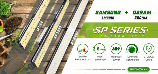 SP 3000 6500 Samsung LM301B LED Grow Light Full Spectrum Best for Plant Veg Flower | Vimost Shop.
