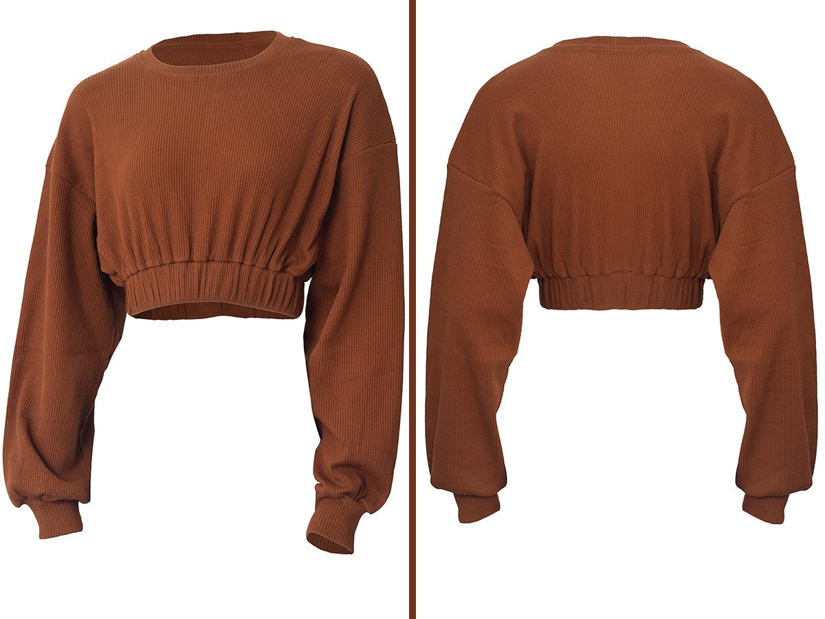Autumn Solid Sporty Ribbed Tracksuit For Women Long Sleeve Crop Top Shorts Fashion Sportswear Casual Workout Running Jogging Set | Vimost Shop.