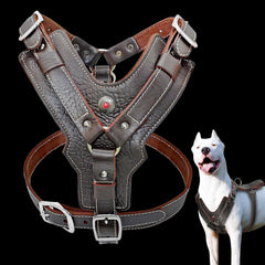 Genuine Leather Dog Harness Large Dogs Pet Training Vest With Quick Control Handle Adjustable for Labrador Pitbull