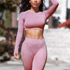 Gym Sport Outfits Yoga Clothing Set Women Long Sleeves Fitness Shirt Seamless Leggings Running Suit Workout Tracksuit Activewear | Vimost Shop.