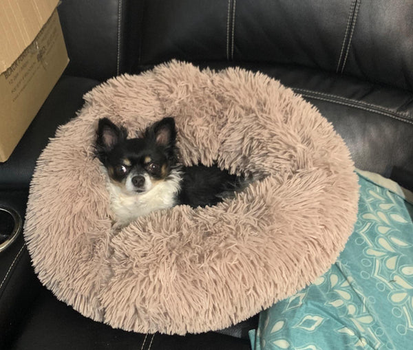 Soft Pet Dog Bed Round Winter warm Long Plush Dog House Cushion Cat Beds Mats Sofa for Samll large Dogs kennel Pet supplies | Vimost Shop.