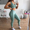 Seamless Yoga Set Fitness Sports Suits Gym Clothing Sport Bra High Waist Yoga Leggings Workout Pants Outfit Sportswear Tracksuit | Vimost Shop.