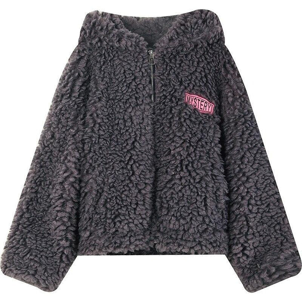 Solid Pure  Zipper Casual Oversize Hooded Wool Teddy Coats Women,Spring Vintage Korean Ladies Faux Fur Warm Outwear