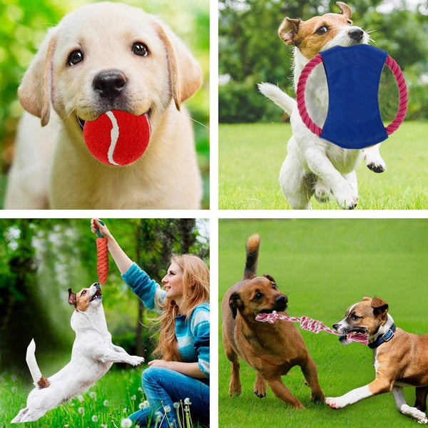 7 Pcs Interactive Dog Toy Kit Cotton Rope Ball Chew Flying Disc Toys for Large Medium Small Dogs Teeth Cleaning Pet Products | Vimost Shop.