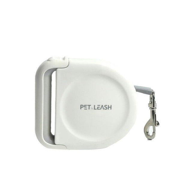 5 Meters Dog Leashes Automatic Retractable Pet Outdoor Walking Leash Leads Puppy Running Extending Leashes For Small Medium Dog | Vimost Shop.
