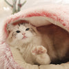Hot Plush Round Cat Bed Cat Warm House Soft Long Plush Pet Dog Bed For Small Dogs Cat Nest 2 In 1 Pet Bed Cushion Sleeping Sofa | Vimost Shop.