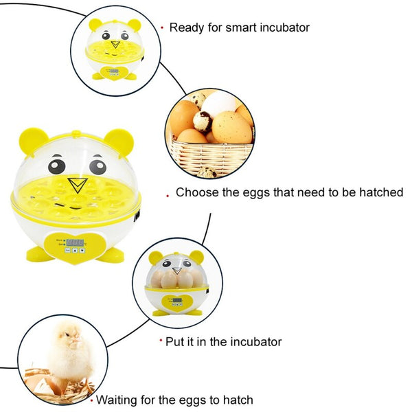 Semi-automatic Chicken Eggs Incubators Small Temperature Controlled Incubator Chick for Farm Home Incubator | Vimost Shop.