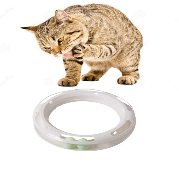 Pet Interactive Playing Toy For Cats Kitten Exercise Tract Ball Toy For Catch Game cat toys ball Training Amusement plate | Vimost Shop.