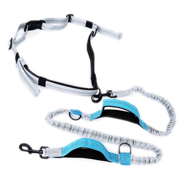 Leash Traction Rope Pet Dog Running Belt Elastic Hands Freely Jogging Pull Dog Leash 2 Colors | Vimost Shop.