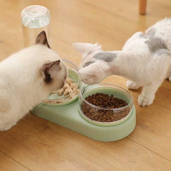 Pet Dog Cat Automatic Feeder Bowl for Dogs Drinking Water Bottle Kitten Bowls Slow Food Feeding Container Supplies | Vimost Shop.