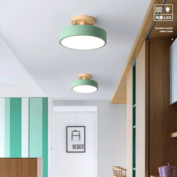 Modern Simplicity LED Ceiling light iron and wood lamp indoor home bedroom living room corridor aisle decoration illumination