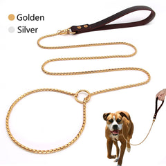 2IN1 Dog Chain Collar Leash 304 Stainless Steel Dog Metal Collar Choke Silver Gold Pet Lead Rope With Leather Handle For Show