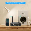 T10 Stereo Sound Amp 100W Powerful Audio Wifi Amplifier With Wi-Fi 2.4G Bluetooth U-disk APP Remote Control