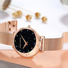 Luxury Ladies Watch High-end Brand Japan Imported Movement Rhinestone Frosted Stainless Steel Mesh Strap Waterproof Quartz Watch