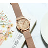 Arrival  Japan Quartz Movement Wood grain Walnut Fashion Stainless Steel Mesh Band Waterproof Women Wrist watches