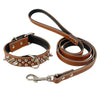 Padded Leather Studded Spiked Dog Collar & Leash Set For S M L Dogs